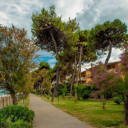Albergo Il Veliero Pineto Luaran gambar